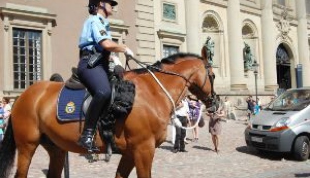 В Швеции конная полиция разогнала антифашистов