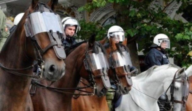 5 фактов о служба лошадей в полиции Германии