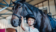 5 фактов о детской конной академии