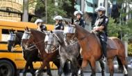 4 факта о конной полиции Нового Света