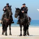8 фактов об израильской конной полиции