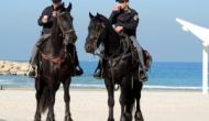 8 фактов об израильской конной полиции