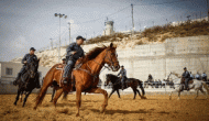 Зачем Израилю конная полиция
