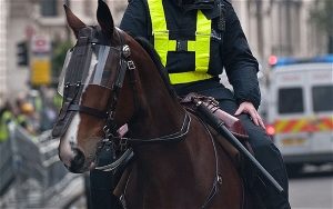 police_horse_patrol_stlucia